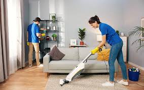 cleaning of holiday homes Background